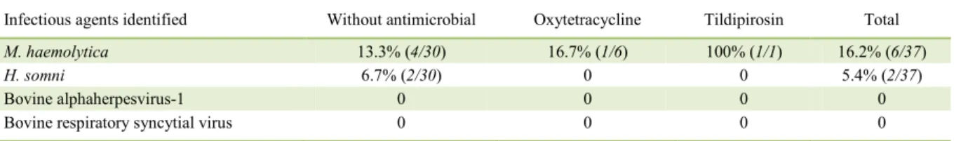 Table 1 - Distribution of infectious agents identified in each metaphylactic protocol by PCR