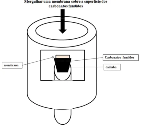 Figura 9 – Ilustração esquemática do processo de infiltração por “dip-coating” para a síntese de membranas de  dupla fase