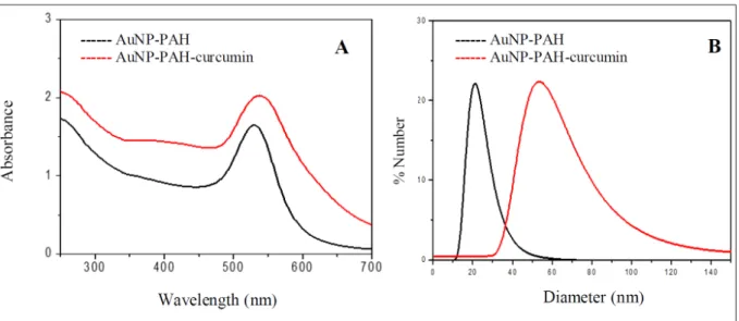 Figure 1 -  Schematic representation of the characterizations of complex AuNP-PAH and AuNP-PAH-curcumin