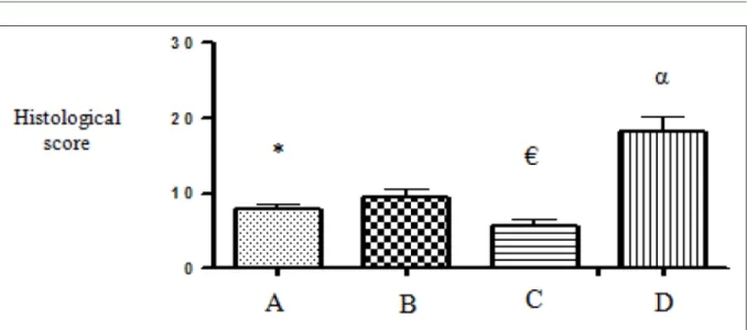 Figure 3 - Schematic representation of the mean scores in the histological assessment of joint cartilage in mice with experimental OA: A)  The group treated with AuNP-PAH with score of 7.87; B) The group treated with curcumin with score of 9.50; C) The gro