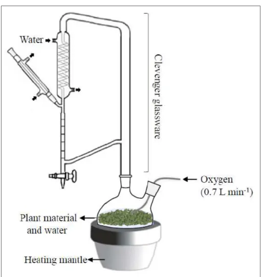 Figure 1 - Apparatus used for the essential oil extraction with oxygen introduction. 