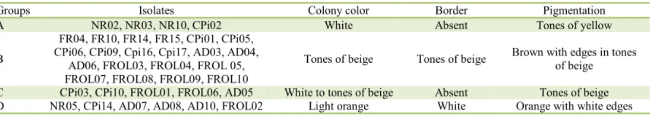 Table 3 -  Distribution of the 35 Neonectria ditissima  isolates in groups accordance to colony color, border and culture medium  pigmentation according to the Pantone ®  color scale on potato-dextrose-agar medium after 20 days of incubation under 24h ligh