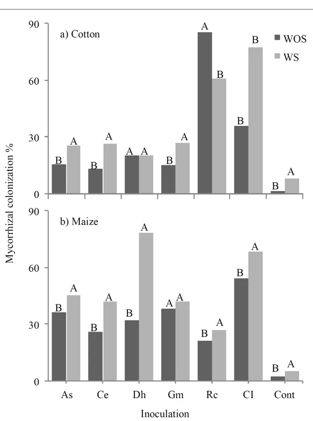 Figure 1 - Mycorrhizal colonization of roots in cotton (a) and maize (b) subjected to inoculation with different mycorrhizal fungi in  the presence (WS) and absence (WOS) of colonization stimulant