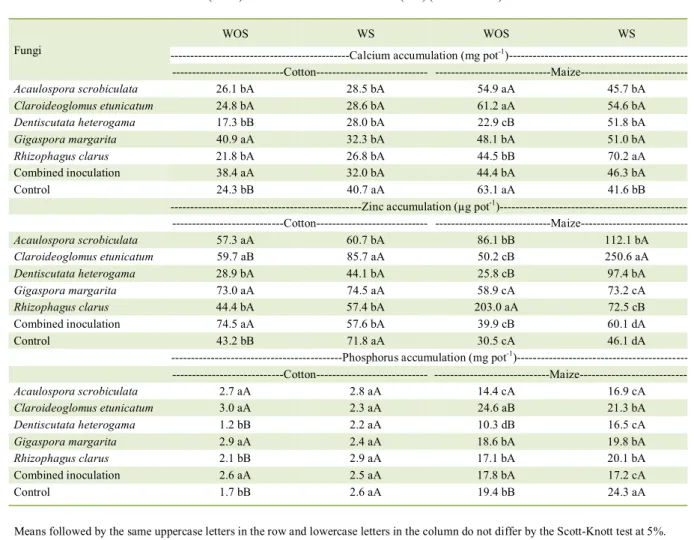 Table 2  -  Accumulation of calcium, zinc and phosphorus in the shoot of the cotton cultivar FMT 701, and of the maize single hybrid 30S3 1,  without colonization stimulant (WOS) and with colonization stimulant (WS) (formononetin).