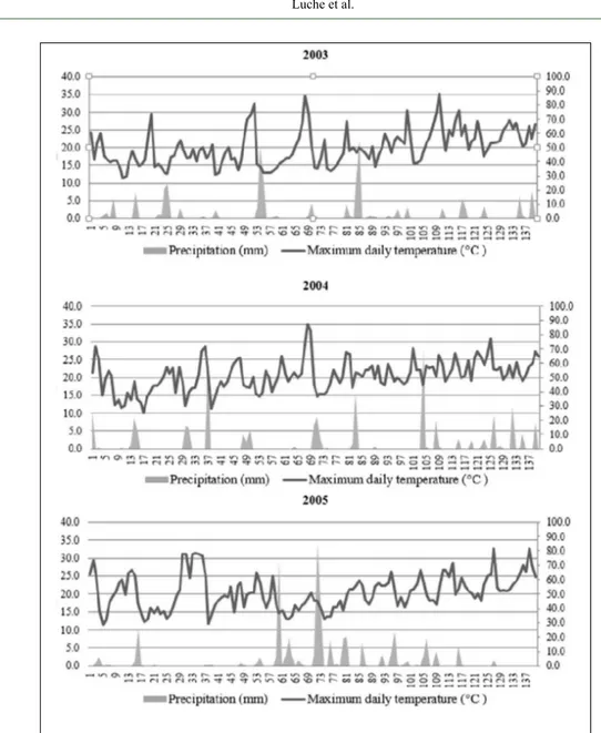 Figure 1 - Precipitation and maximum daily temperature during the wheat crop cycle, in the years  2003, 2004 and 2005
