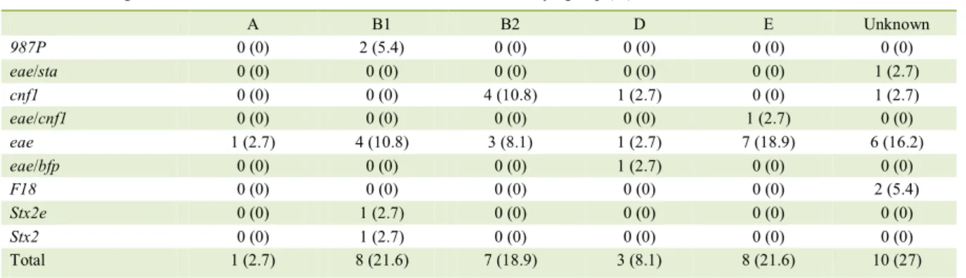 Table 2 - Distribution of phylogenetic groups and virulence factor genes of  Escherichia coli  obtained from the feces of dogs (n=37)