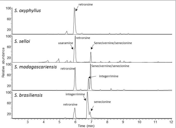Figure 1 - HPLC-MS chromatograms for a representative sample from each of four species of Senecio collected from farms of Eastern  Uruguay.