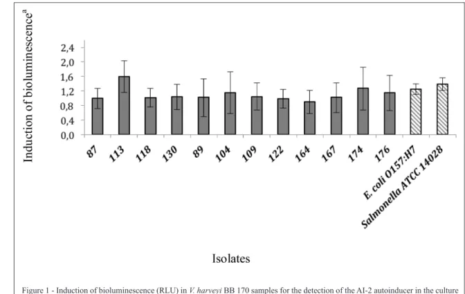 Figure 1 - Induction of bioluminescence (RLU) in V. harveyi BB 170 samples for the detection of the AI-2 autoinducer in the culture  supernatants of E
