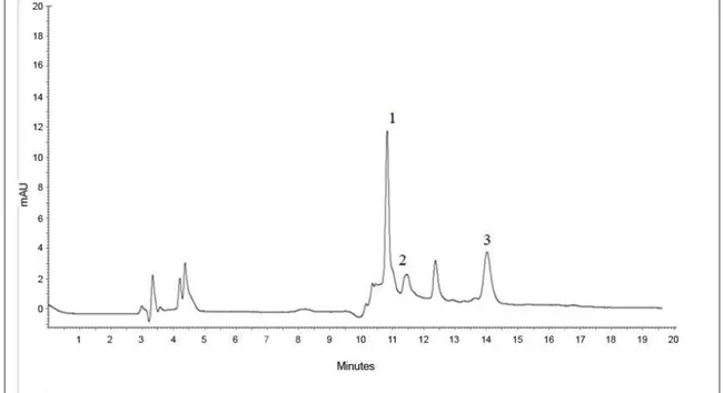 Figure 1 - Chromatogram of the phenolic compounds from ethanolic extract of goldenberry: chlorogenic acid (1), caffeic acid  (2) and rutin (3).