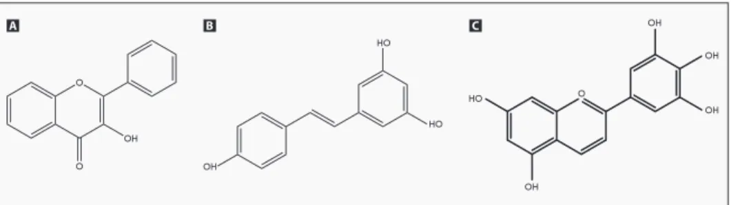 FIGURA 1 - Estrutura molecular geral dos flavonóides (A), da antocianina (B) e do resveratrol (C).