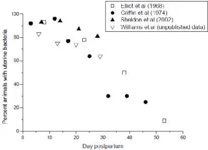 Figura 2 Incidência da contaminação bacteriana durante os primeiros 60 dias pós- pós-parto segundo vários estudos