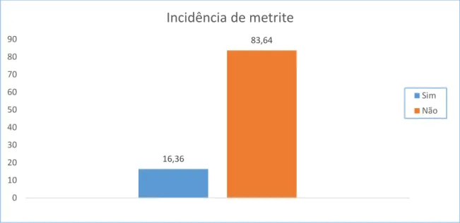 Figura 4 Distribuição dos animais em estudo, segundo a presença ou ausência de metrite 