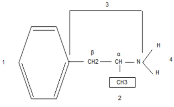 Figura 6 - Estrutura química da feniletilamina. Adaptado de Bensadon A. et al., 2011.