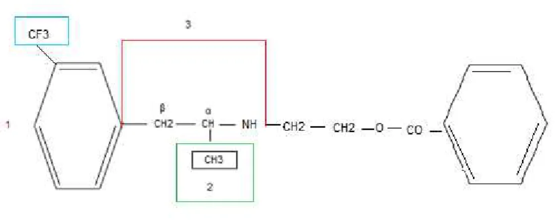 Figura 7 -  Estrutura química do benfluorex evidenciando as semelhanças com a β - -feniletilamina e as alterações realizadas