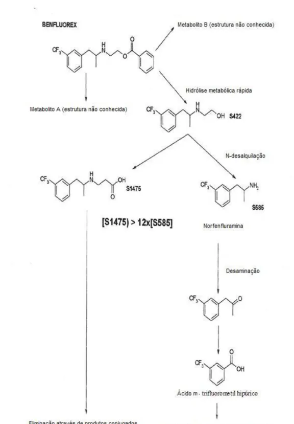 Figura 8 - Metabolitos do benfluorex. Adaptado de Lechat, 2010. 