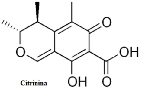 Fig. 2 – Estrutura química da citrinina (adaptado de http://upload.wikimedia.org /).   