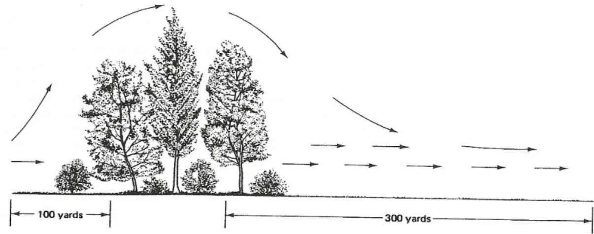 Figura 13 - Trajectória das correntes de ar em zonas arborizadas – obstrução. Fonte: (Miller, R.W