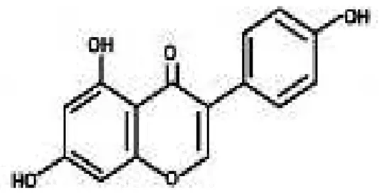 Figura 5: Estrutura química da sissotrina.  Figura 6 Estrutura química da genisteína. 