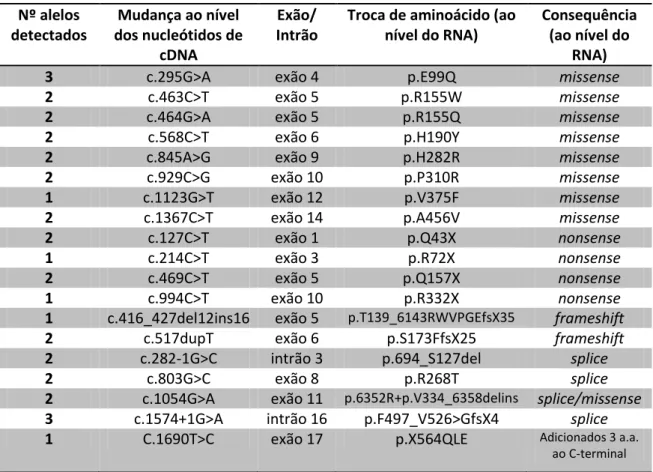 Tabela 2 - Algumas mutações relativas ao gene MCCB e suas consequências (adaptado  de Dantas et al, 2005)