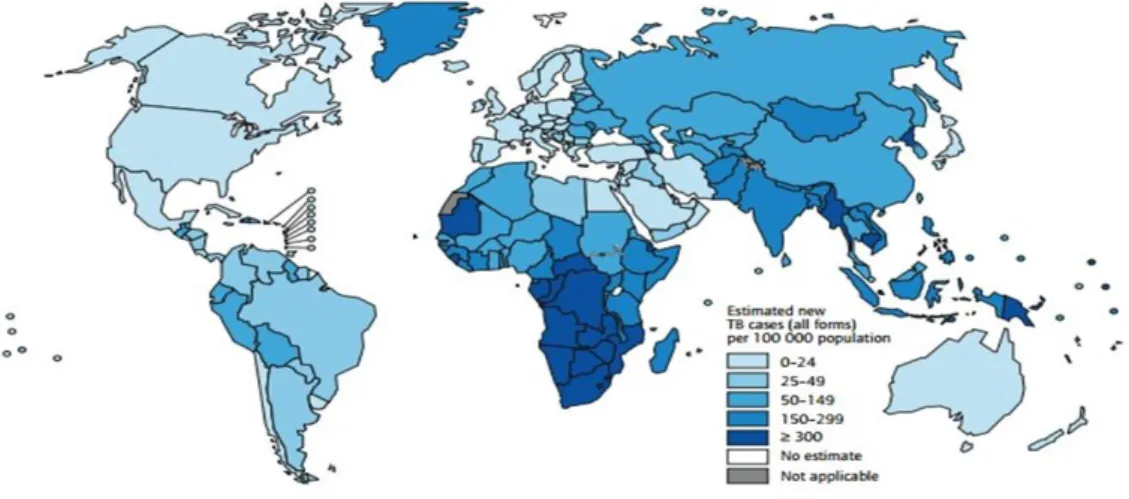 Figura  2  -  A  prevalência  do  VIH  estimado  em  novos  casos  de  Tuberculose  de  2011  Adaptado (WHO, 2012a)
