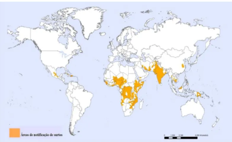 Figura 12 - Cólera, áreas de notificação de surtos, 2010-2013 Adaptado (WHO, 2013). 