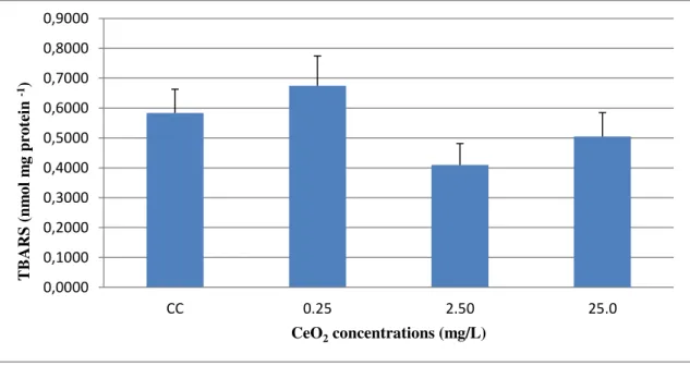 Figure  7:  TBARS  quantification  (nmol  mg  protein -1 ).  CC  (Control  concentration);  0.25  (Low  Concentration  (LC)), 2.50 (Medium Concentration (MC)), 25.0 (High Concentration (HC)).