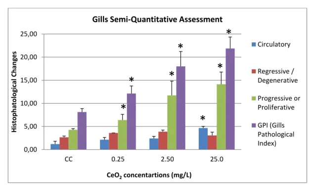 Figure 9: Gills Semi-Qualitative Assessment. CC (Control concentration); 0.25 (Low Concentration (LC)), 2.50  (Medium Concentration (MC)), 25.0 (High Concentration (HC)).