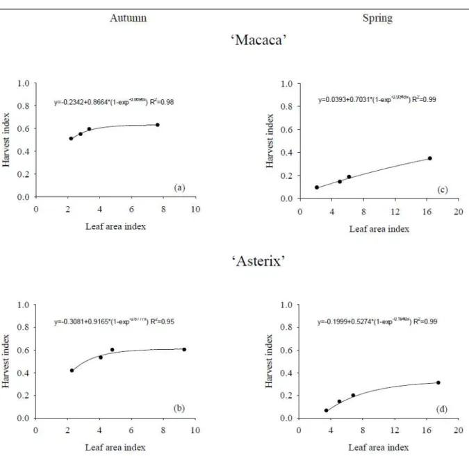 Figure 2 - Harvest index of potato plants of the cultivars ‘Macaca’ and ‘Asterix’ growing with different leaf area index during autumn and  spring in a closed soilless system