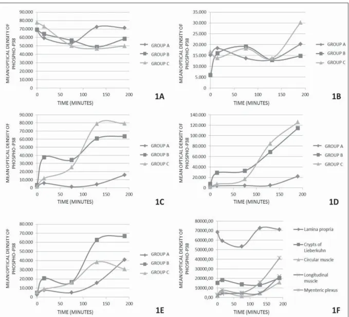 Figure 1 - Mean optical density of phospho-p38 indicating central tendency in different layers of rabbit jejunum, in different groups