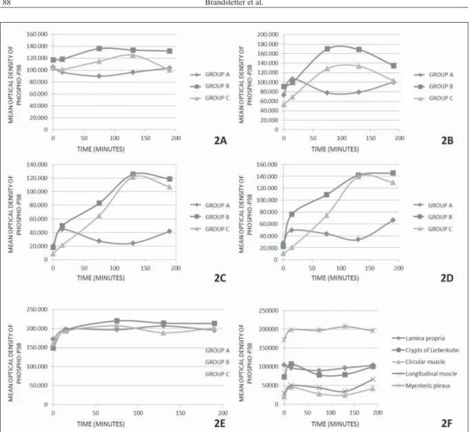 Figure 2 - Mean optical density of phospho-p44/42 indicating central tendency in different layers of rabbit jejunum, in different groups