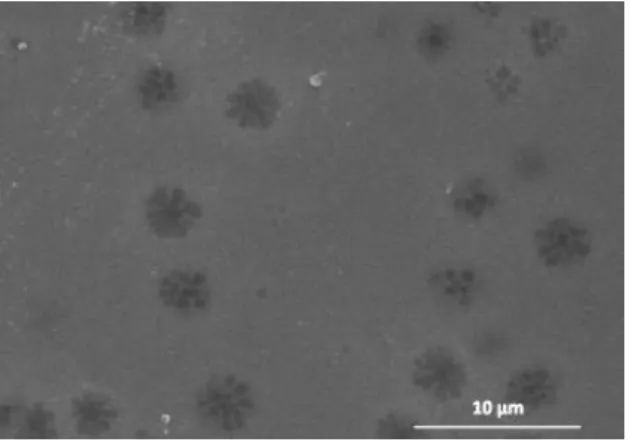 Figura 15 – Micrografia obtidas por SEM para as placas de vidro. 