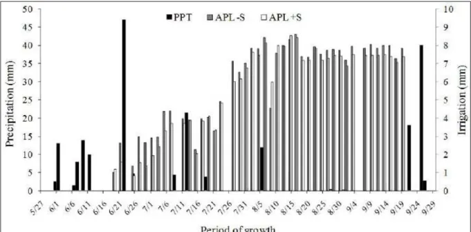 Figure 1 shows the irrigation depths by  dripping for both soil cover conditions. For treatment  L4 (100% of ETc), the depths totaled 372.7 and 