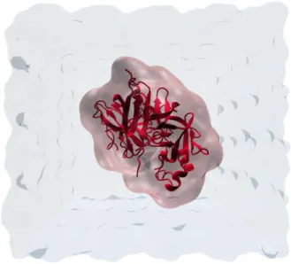 Figure 8. Representation of the system used in Molecular Dynamics Simulation. 