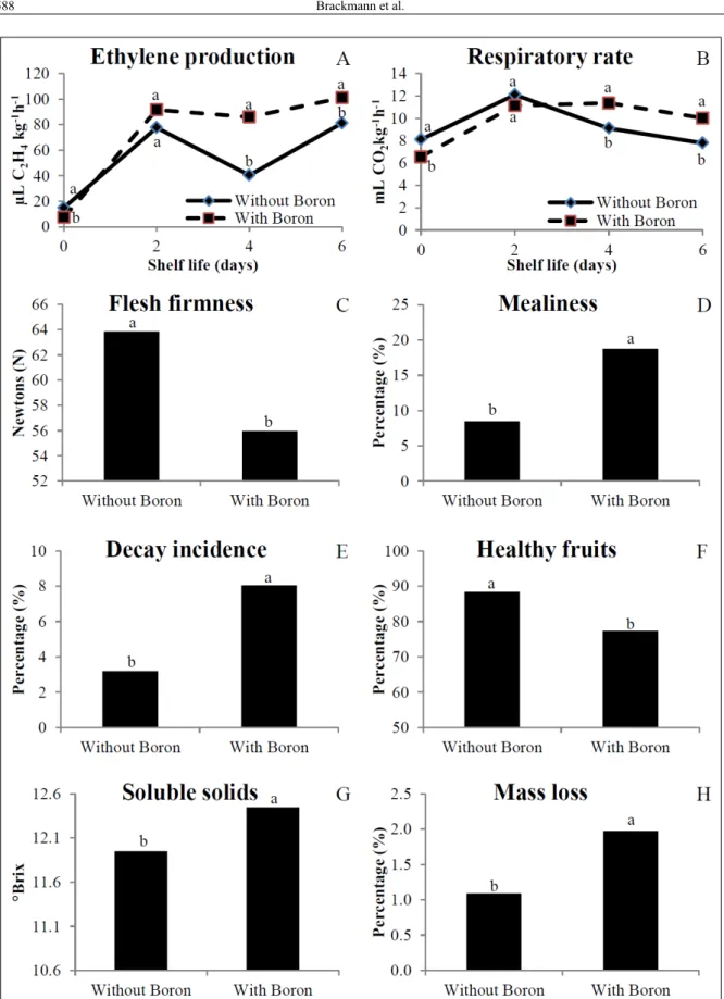 Figure 2 - Ethylene production, respiratory rate, flesh firmness, mealiness, decay incidence, healthy fruits, soluble solids and mass loss  of ‘Galaxy’ apples after eight months in CA storage (1.5±0.1°C and 1.2kPa O 2 +2.5kPa CO 2 ) plus seven days of shel