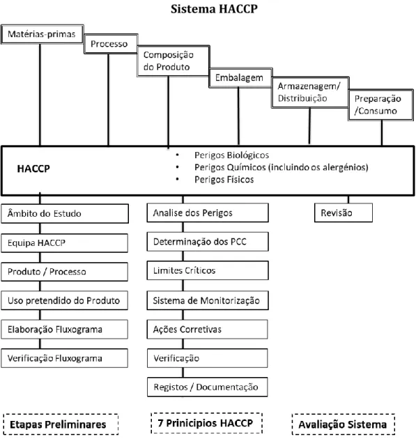Figura 2 - Princípios HACCP e as catorze etapas associadas (Afonso, 2006). 