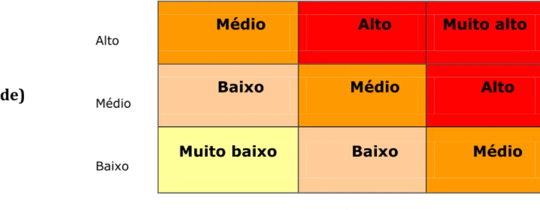 Figura  10  -  Determinação  da  significância  dos  perigos  utilizando  uma  matriz  Risco(probabilidade)/Severidade  