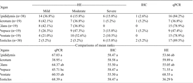 Table 1 - Absolute and relative values of the histopathological lesions (HE), IHC to amastigotes, qPCR positivity and comparisons between mean ranks for each organ evaluated in the male dog’s genital system after natural infection with L