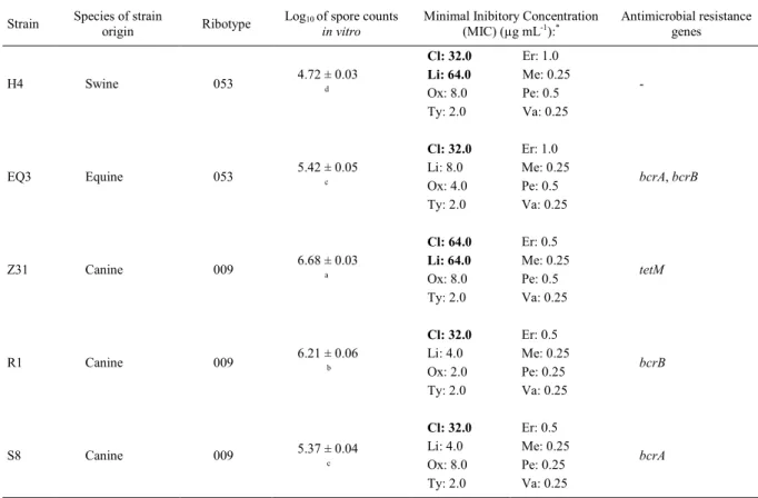 Table 1 - Details of non-toxigenic C.  difficile  strains (NTCD) with regard to origin, ribotype, spore production in vitro, antimicrobial resistance profile and presence of resistance genes.