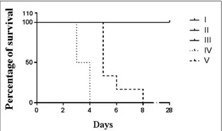 Figure 2 - Kaplan-Meyer diagram showing the survival of hamsters (Mesocricetus auratus)  of experimental groups I to V over 28 days of observation