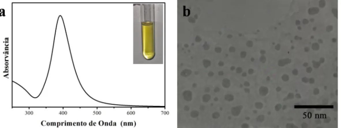 Figura 2.1 – Espetro de UV-vis e correspondente fotografia digital (a) e imagem de TEM (b) de coloides de  Ag obtidos por redução com borohidreto de sódio.