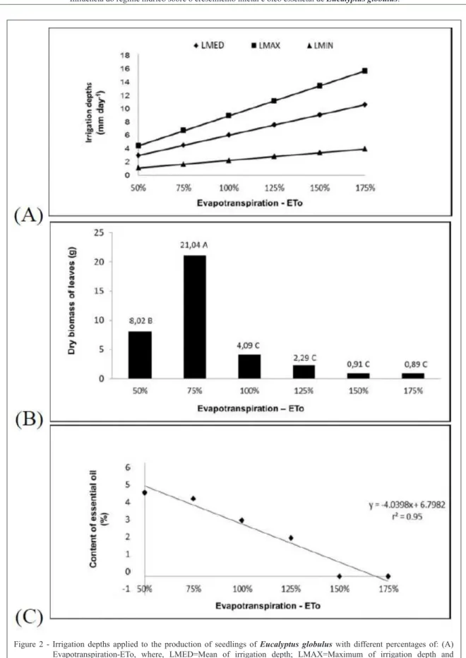 Figure  2  -  Irrigation  depths  applied  to  the  production  of  seedlings  of  Eucalyptus globulus  with  different  percentages  of:  (A)  Evapotranspiration-ETo,  where,  LMED=Mean  of  irrigation  depth;  LMAX=Maximum  of  irrigation  depth  and  LM