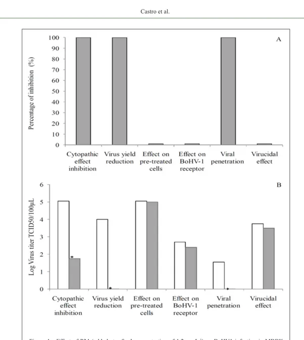 Figure 1 - Effect of P34 (added at a final concentration of 1.2µgmL -1 ) on BoHV1 infection in MDBK  cells