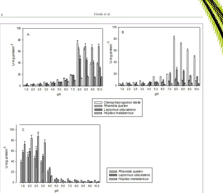 Figure 2 - Alkaline protease activity at different pHs in the anterior (A) and mid (B) intestine and acid protease activity in the stomach (C)  of the studied species