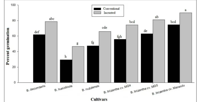 Figure 1 - Germination percentage of seeds from different cultivars of Brachiaria sp. with and without coating.
