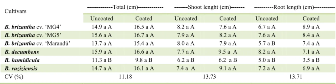 Table 2 - Total length, shoot length and root length of seedlings from different cultivars of Brachiaria sp