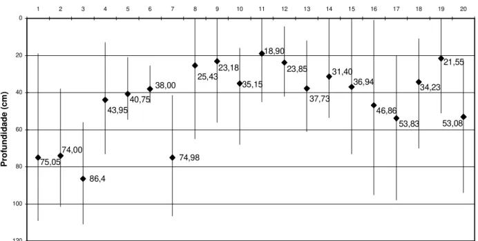 FIGURA 3: Amplitude e valor médio da profundidade do lençol freático no interior das parcelas, calculados  mediante observações semanais realizadas durante 4 meses