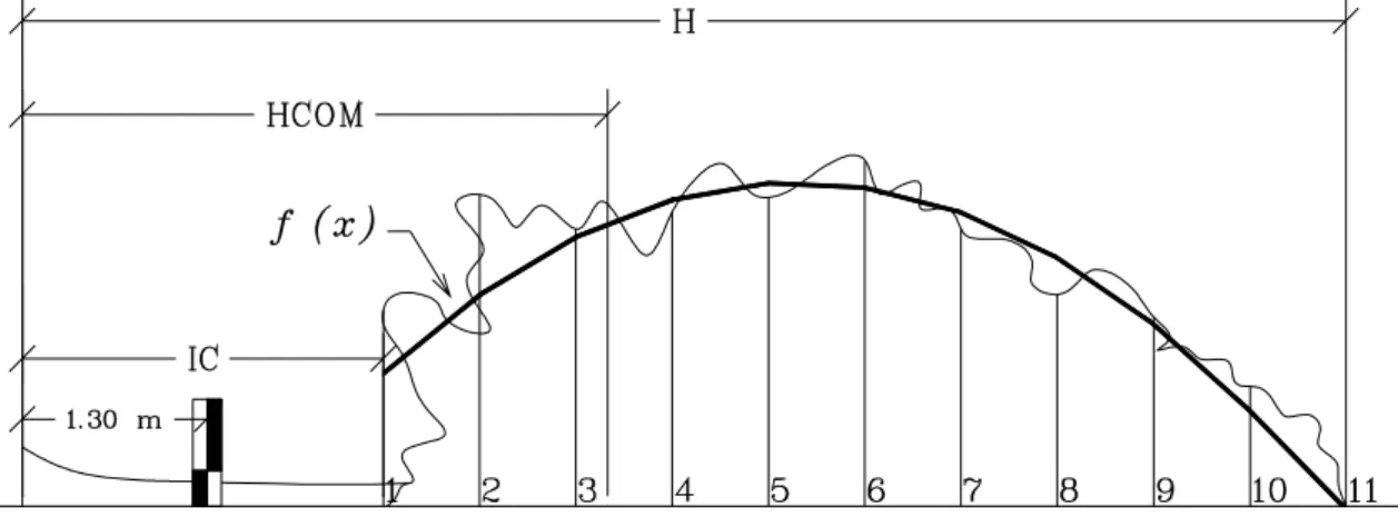 FIGURA 3: Divisão relativa da copa e obtenção do raio de copa correspondente. 