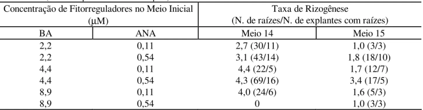 TABELA  5:  Formação  de  raízes  em  explantes  retirados  dos  meios  de  cultura  7  a  13  (com  benziladenina  e  ácido naftaleno acético) e subcultivados nos meios 14 (CIN 1,2  µ M e ANA 2,7  µ M) e 15 (CIN  1,2  µ M e ANA 5,4  µ M), na ausência de l