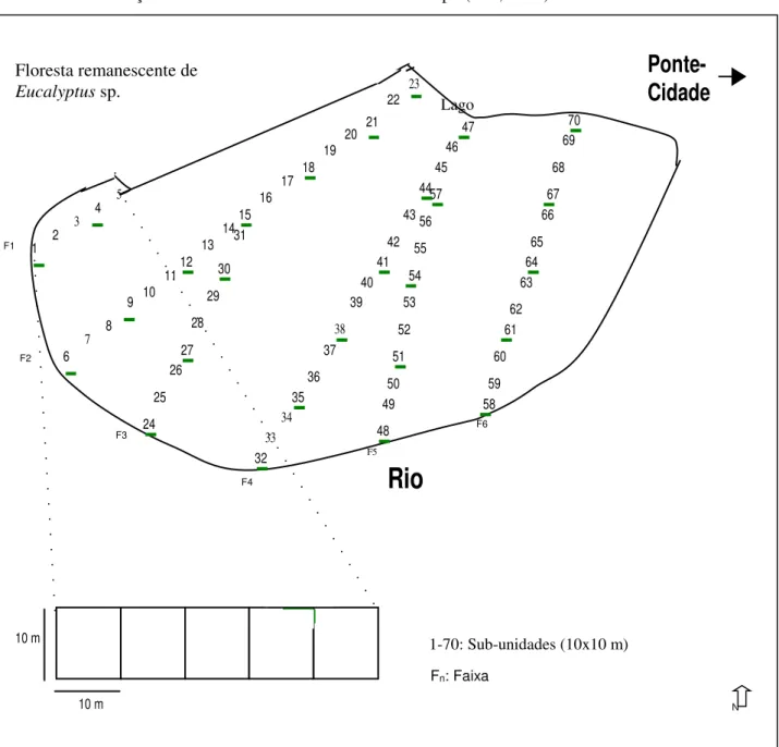FIGURA 1: Amostragem utilizada no inventário de árvores, arbustos e lianas de um fragmento de Floresta  Estacional Decidual Aluvial, Baixo Rio Jacuí, Cachoeira do Sul, RS, Brasil