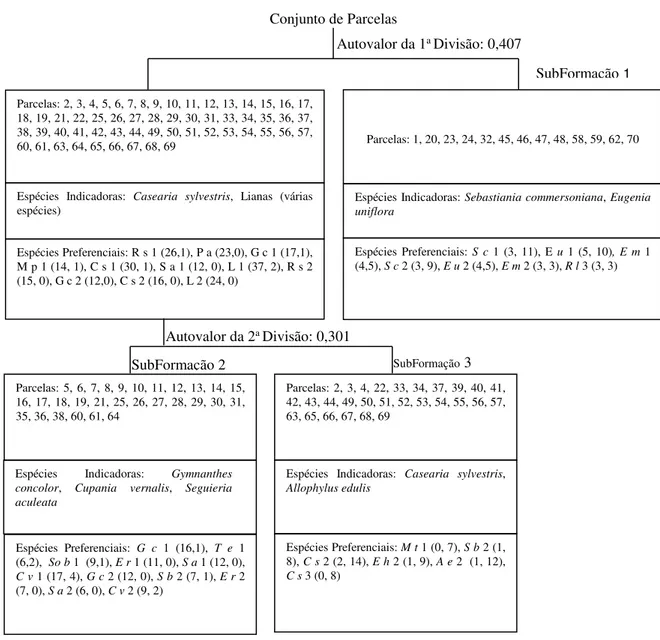 FIGURA 4: Classificação das unidades amostrais em três grupos, caracterizando as subformações internas  em fragmento de Floresta Estacional Decidual Aluvial, no Baixo Rio Jacuí, Cachoeira do Sul,  RS, Brasil